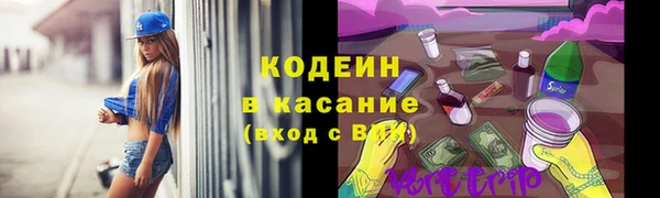 сатива Няндома
