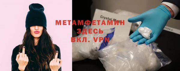 сатива Няндома