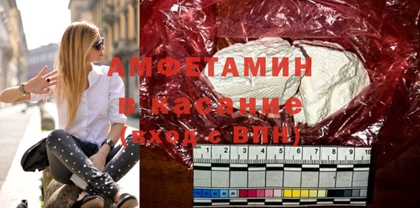 сатива Няндома