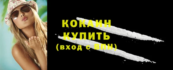 сатива Няндома