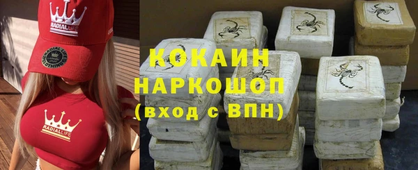 сатива Няндома